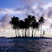 mooie-lucht-natuur-palmboom-strand-achtergrond