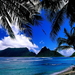 mooie-lucht-natuur-tropen-palmboom-achtergrond