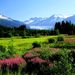 bergen-natuur-hoogland-bloemen-achtergrond (1)