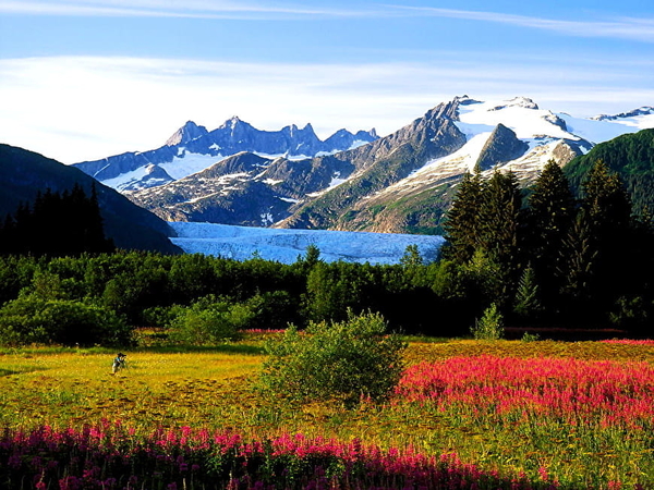 bergen-natuur-hoogland-bloemen-achtergrond (2)
