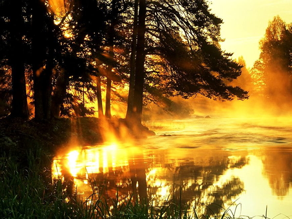 meer-natuur-zonlicht-ochtend-achtergrond