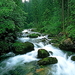 stroom-natuur-woud-waterval-achtergrond