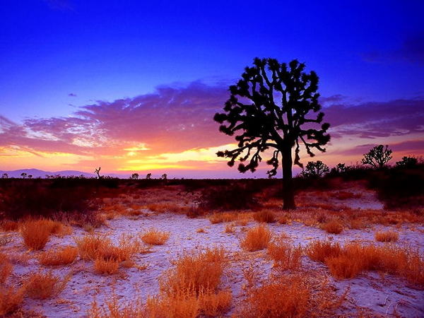 woestijn-natuur-wolken-horizon-achtergrond