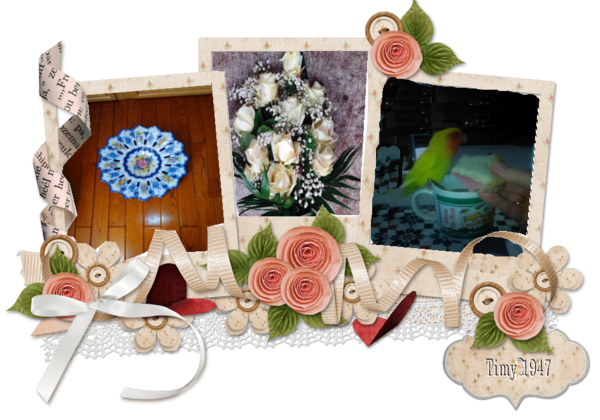 frame thuis  bloem love bird