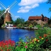 windmolen-verenigd-koninkrijk-molen-bloemen-achtergrond