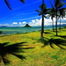 hawai-natuur-palmboom-strand-achtergrond
