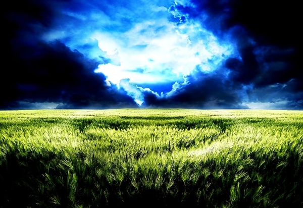 natuur-veld-wolken-groene-achtergrond