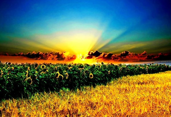 natuur-veld-wolken-zonsopkomst-achtergrond