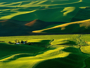 landschappen-groene-natuur-steppe-achtergrond