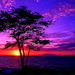 natuur-zonsondergang-horizon-zee-achtergrond