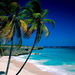 strand-tropen-natuur-palmboom-achtergrond
