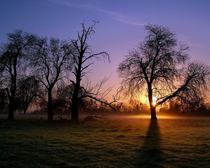zonsopkomst-natuur-ochtend-mist-achtergrond