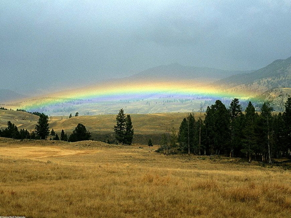 herfst-landschap-regenboog-natuur-hoogland-achtergrond