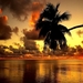 natuur-palmboom-zonsondergang-tropen-achtergrond
