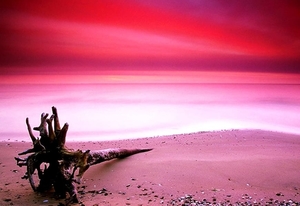 natuur-strand-roze-oceaan-achtergrond