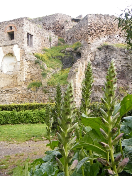 intersoc amalfikust wandelvakantie itali reisduiveltje