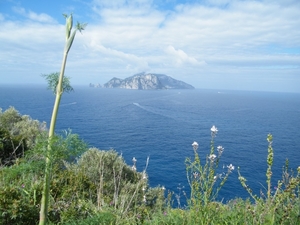 DSCF6060
