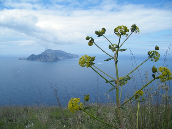 intersoc amalfikust wandelvakantie itali reisduiveltje