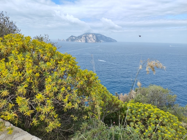 intersoc amalfikust wandelvakantie itali reisduiveltje