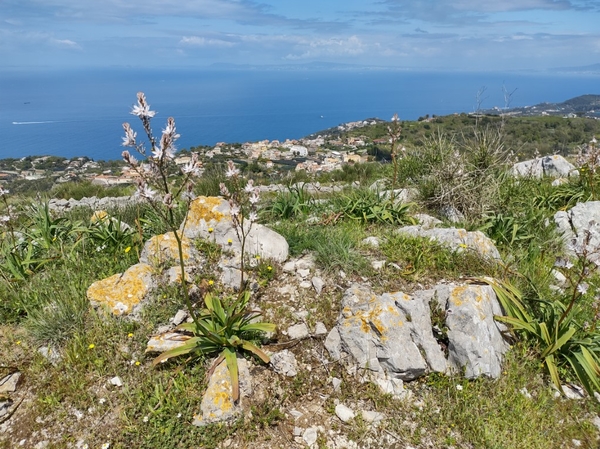 intersoc amalfikust wandelvakantie itali reisduiveltje