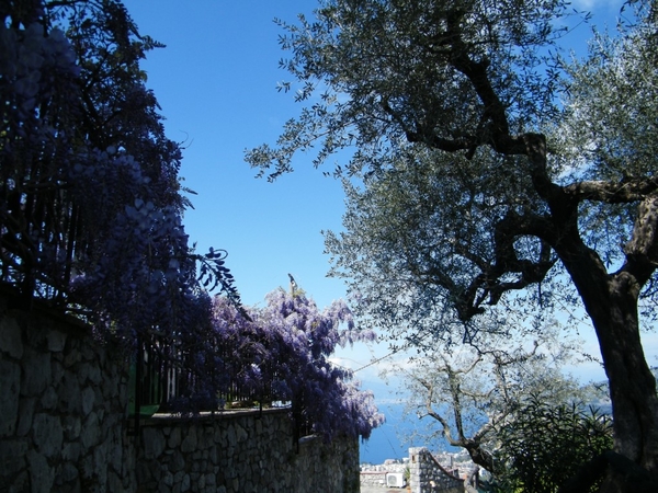 intersoc amalfikust wandelvakantie itali reisduiveltje