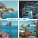 CAPRI 1