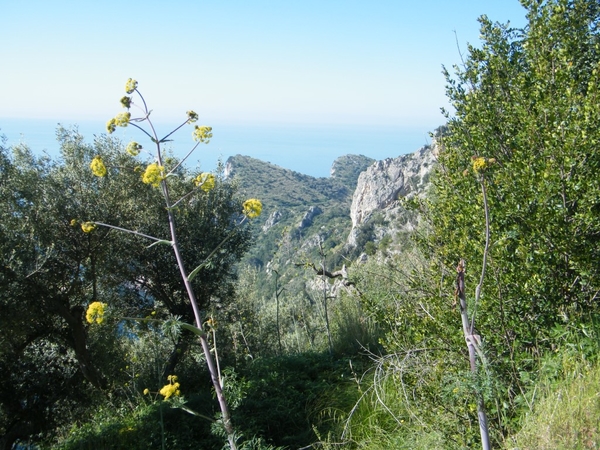 intersoc amalfikust wandelvakantie itali reisduiveltje