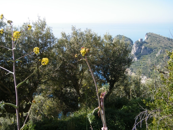 intersoc amalfikust wandelvakantie itali reisduiveltje