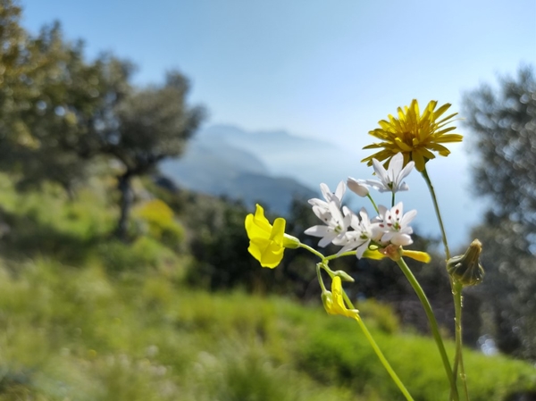 intersoc amalfikust wandelvakantie itali reisduiveltje