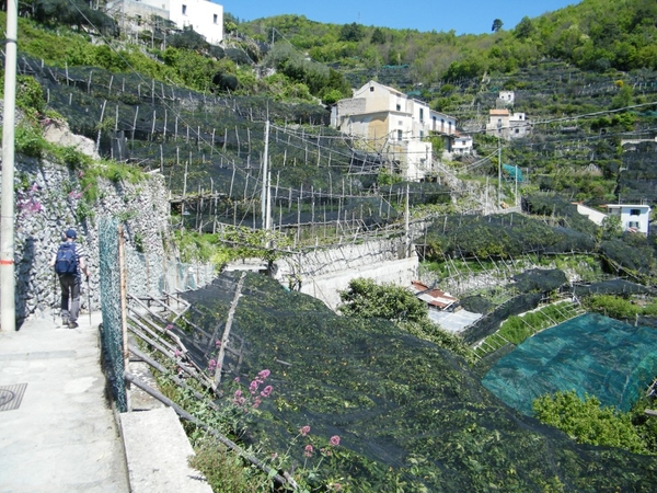 intersoc amalfikust wandelvakantie itali reisduiveltje