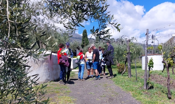 intersoc amalfikust wandelvakantie itali reisduiveltje