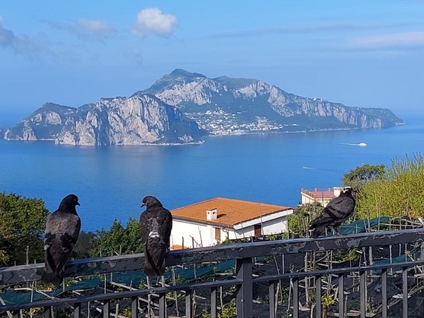 intersoc amalfikust wandelvakantie itali reisduiveltje