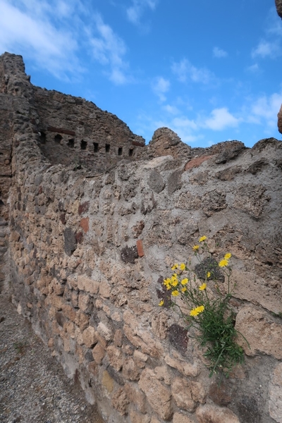 intersoc amalfikust wandelvakantie itali reisduiveltje