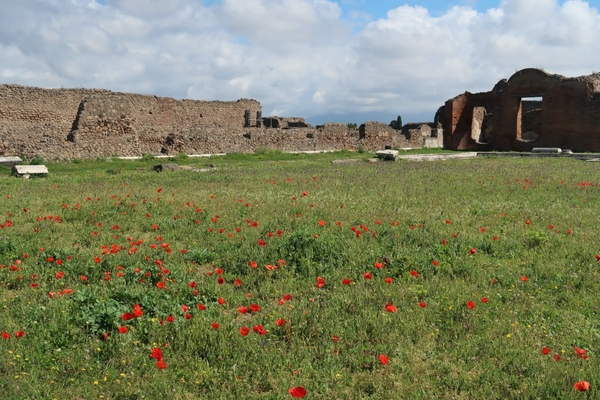 intersoc amalfikust wandelvakantie itali reisduiveltje