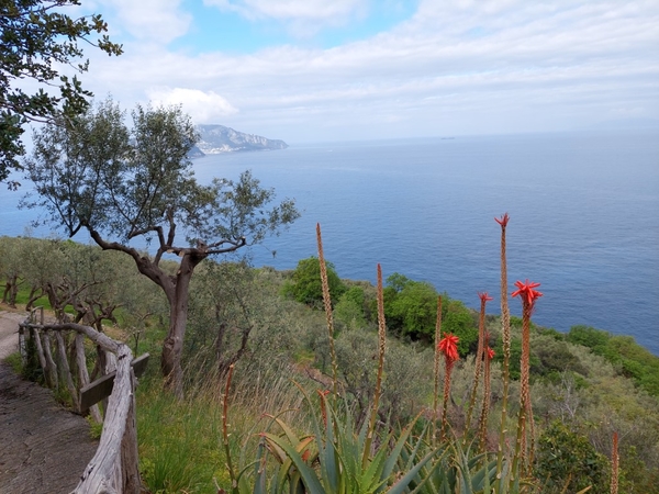 intersoc amalfikust wandelvakantie itali reisduiveltje