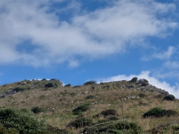 intersoc amalfikust wandelvakantie itali reisduiveltje