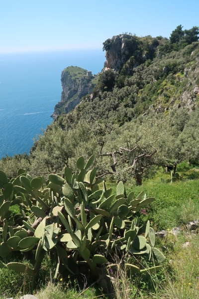 intersoc amalfikust wandelvakantie itali reisduiveltje