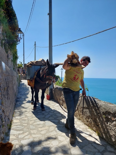 intersoc amalfikust wandelvakantie itali reisduiveltje