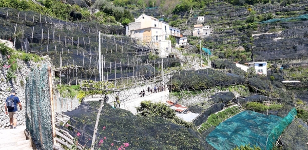 intersoc amalfikust wandelvakantie itali reisduiveltje