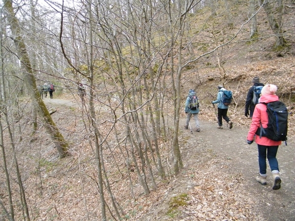 intersoc kastellaun wandelvakantie duitsland reisduiveltje