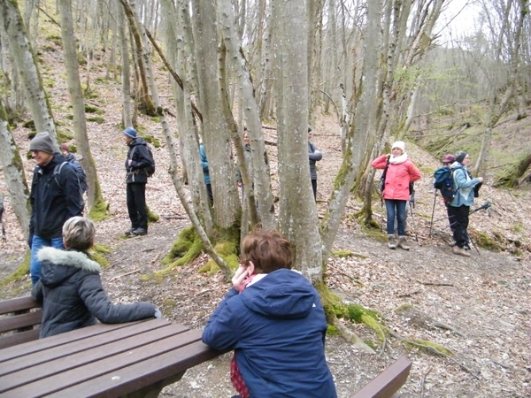 intersoc kastellaun wandelvakantie duitsland reisduiveltje