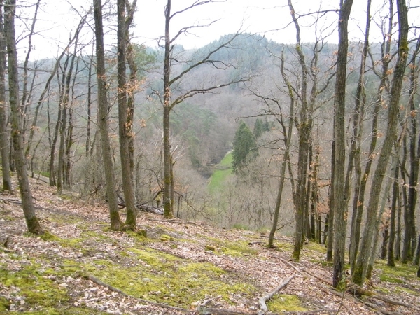 intersoc kastellaun wandelvakantie duitsland reisduiveltje