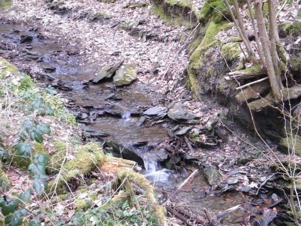 intersoc kastellaun wandelvakantie duitsland reisduiveltje