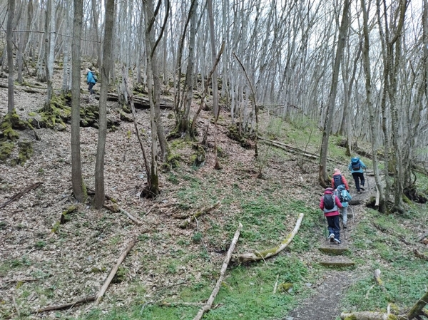 intersoc kastellaun wandelvakantie duitsland reisduiveltje