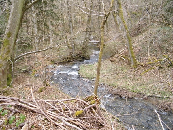 intersoc kastellaun wandelvakantie duitsland reisduiveltje