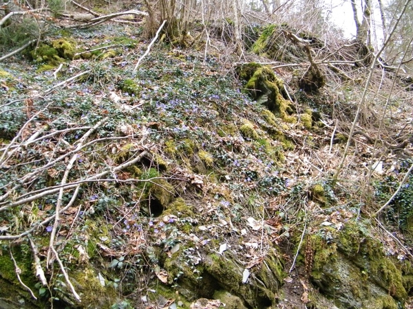 intersoc kastellaun wandelvakantie duitsland reisduiveltje