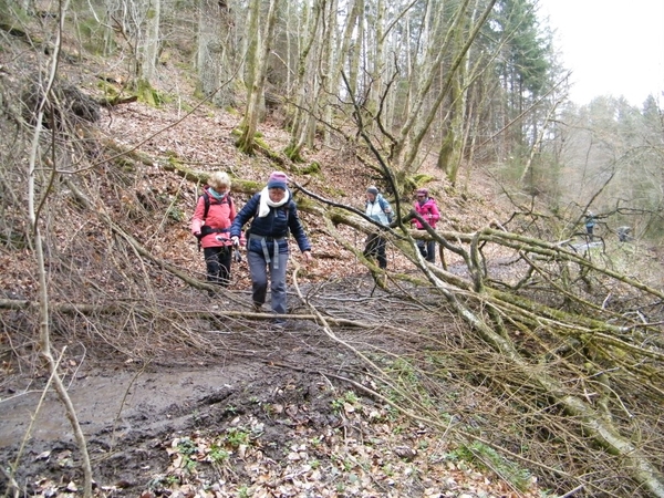 intersoc kastellaun wandelvakantie duitsland reisduiveltje