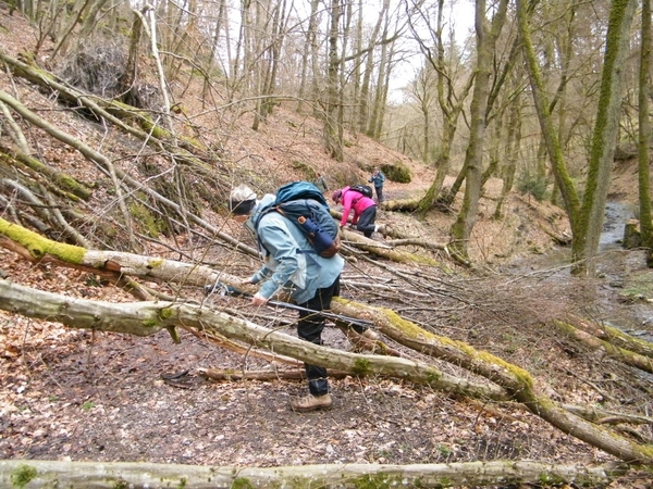 intersoc kastellaun wandelvakantie duitsland reisduiveltje