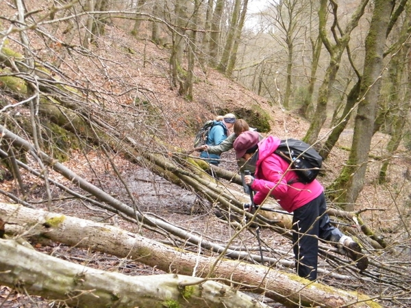 intersoc kastellaun wandelvakantie duitsland reisduiveltje