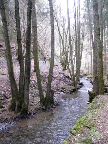 intersoc kastellaun wandelvakantie duitsland reisduiveltje